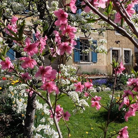 La Foyere Bed & Breakfast La Plagne Exterior photo